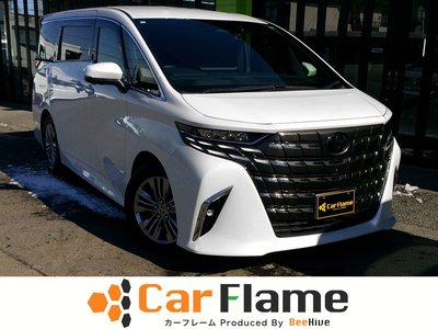 TOYOTA ALPHARD - 1