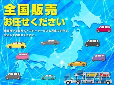 2024 TOYOTA ALPHARD 照片 4