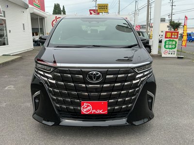 2024 TOYOTA ALPHARD 照片 9