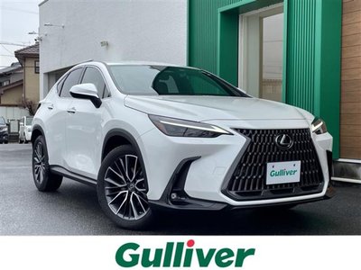 LEXUS NX - 1