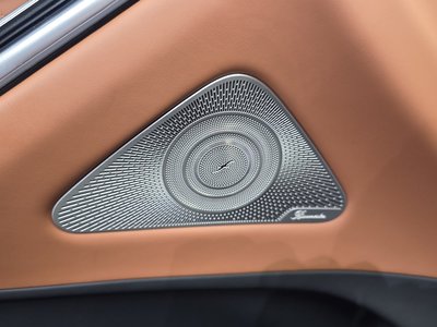 2021 Mercedes-BENZ S-CLASS 缩略图 29