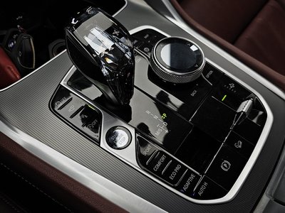2020 BMW X6 缩略图 12