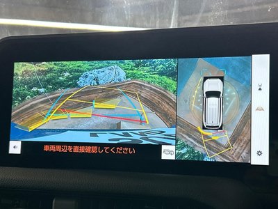 TOYOTA LAND CRUISER 250 - 5