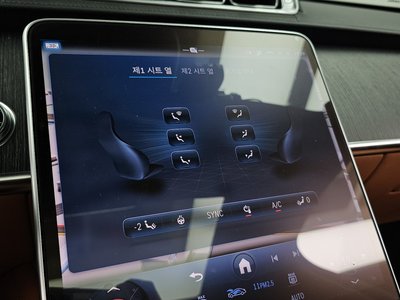 2021 Mercedes-BENZ S-CLASS 缩略图 33