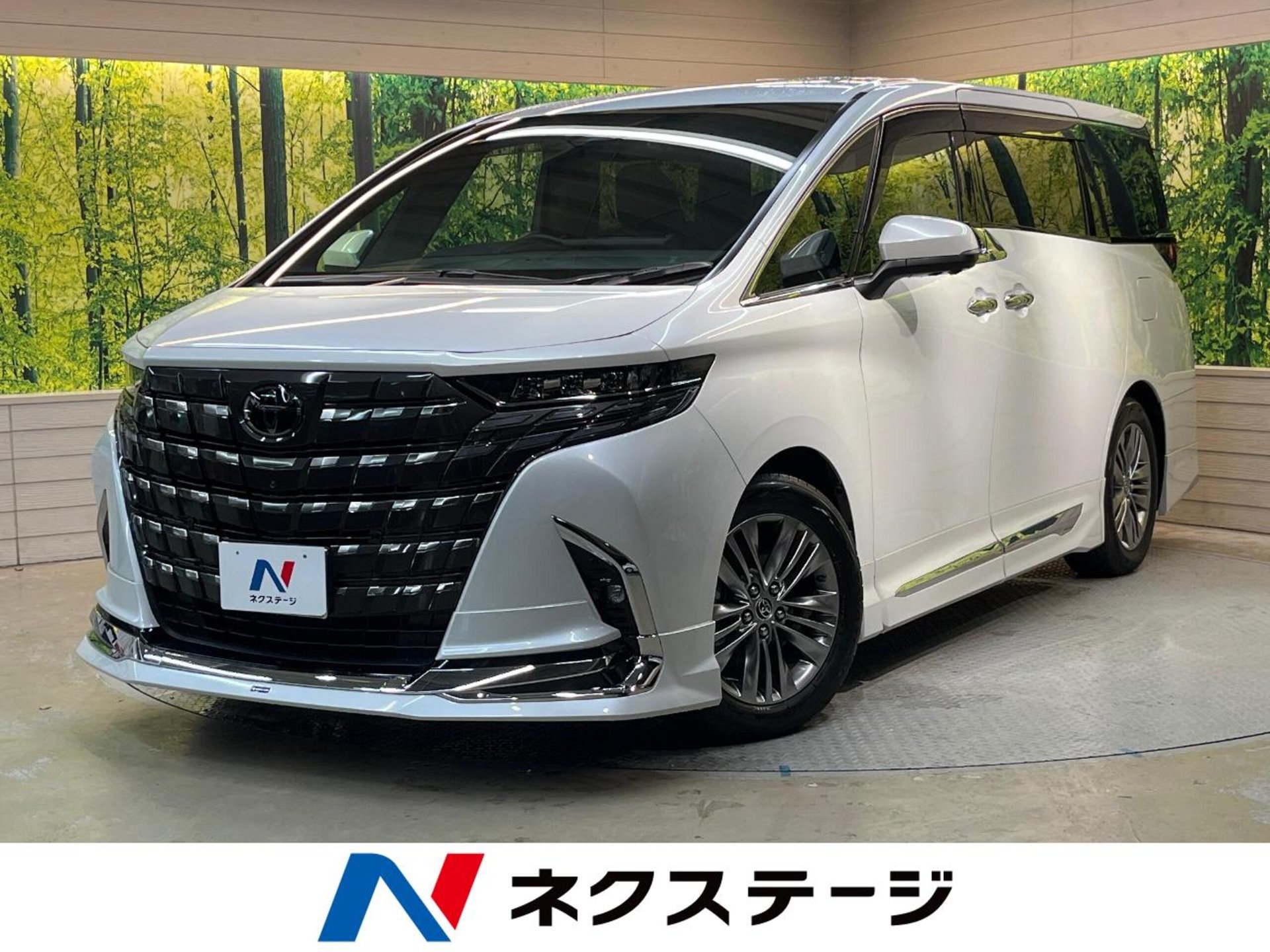 TOYOTA ALPHARD - View 1