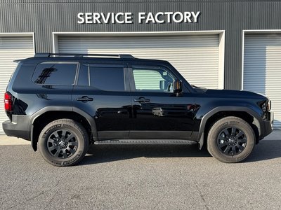 TOYOTA LAND CRUISER 250 - 10