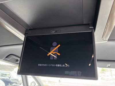 2025 TOYOTA ALPHARD 缩略图 39