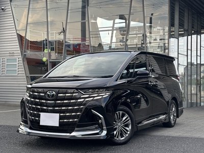 2025 TOYOTA ALPHARD 缩略图 11