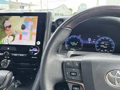 2025 TOYOTA ALPHARD 缩略图 49