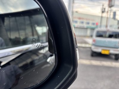 2025 TOYOTA ALPHARD 缩略图 29