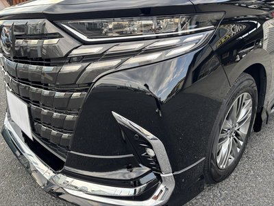 2025 TOYOTA ALPHARD 缩略图 22