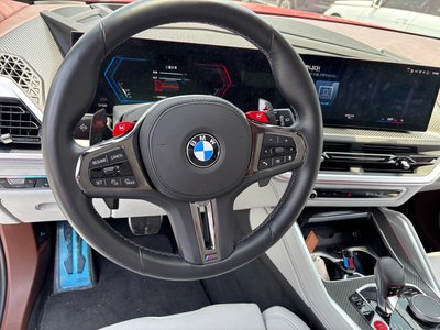 2023 BMW XM 照片 8