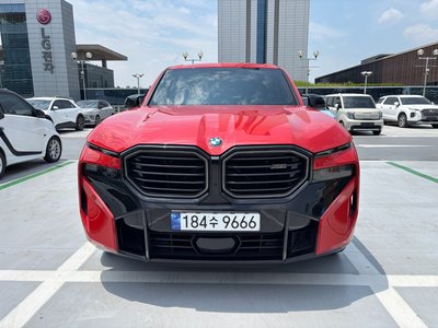 2023 BMW XM 照片 4