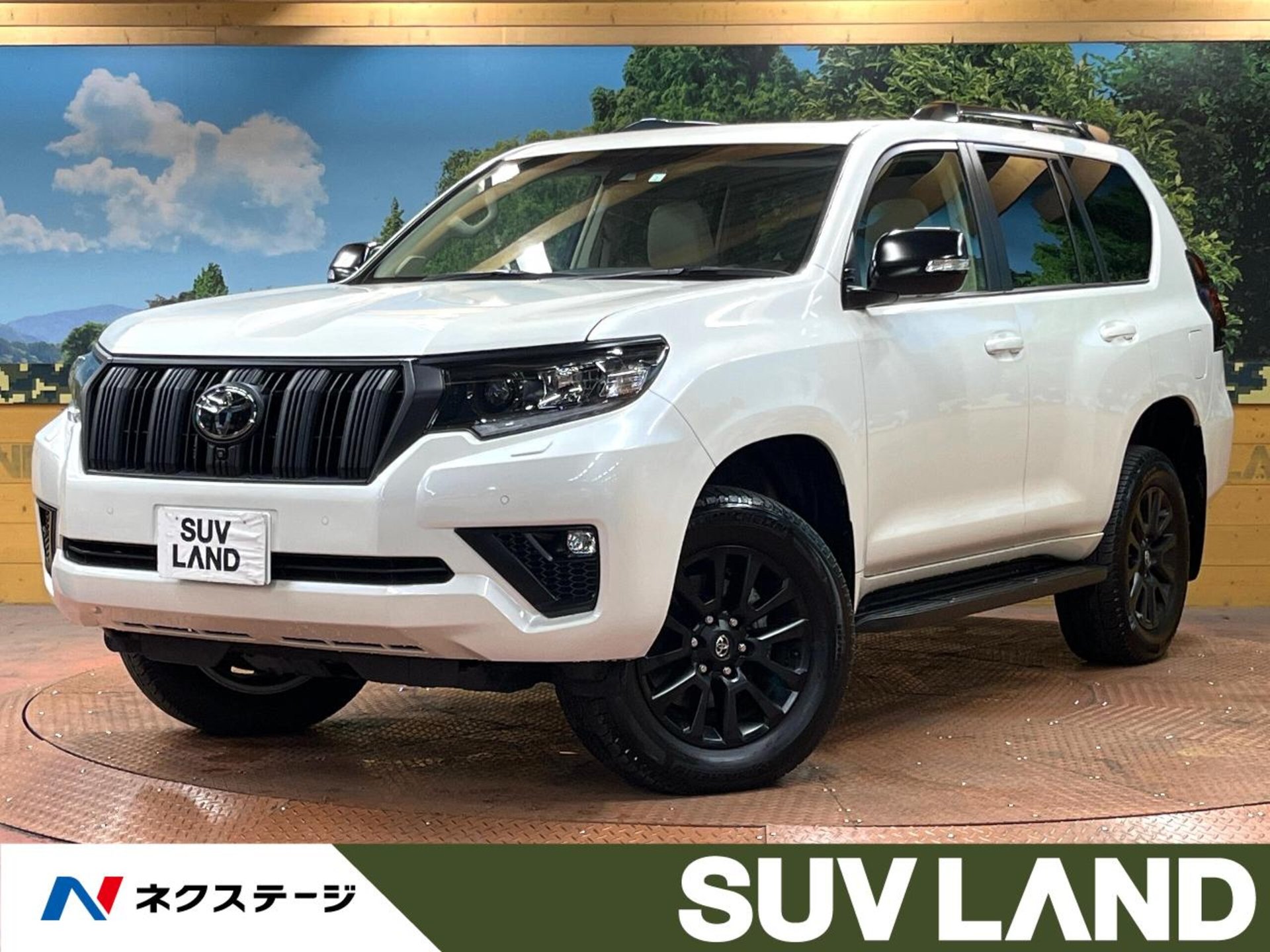 TOYOTA LAND CRUISER PRADO - View 1