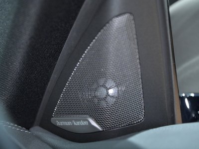 2020 BMW 4 SERIES COUPE 缩略图 54