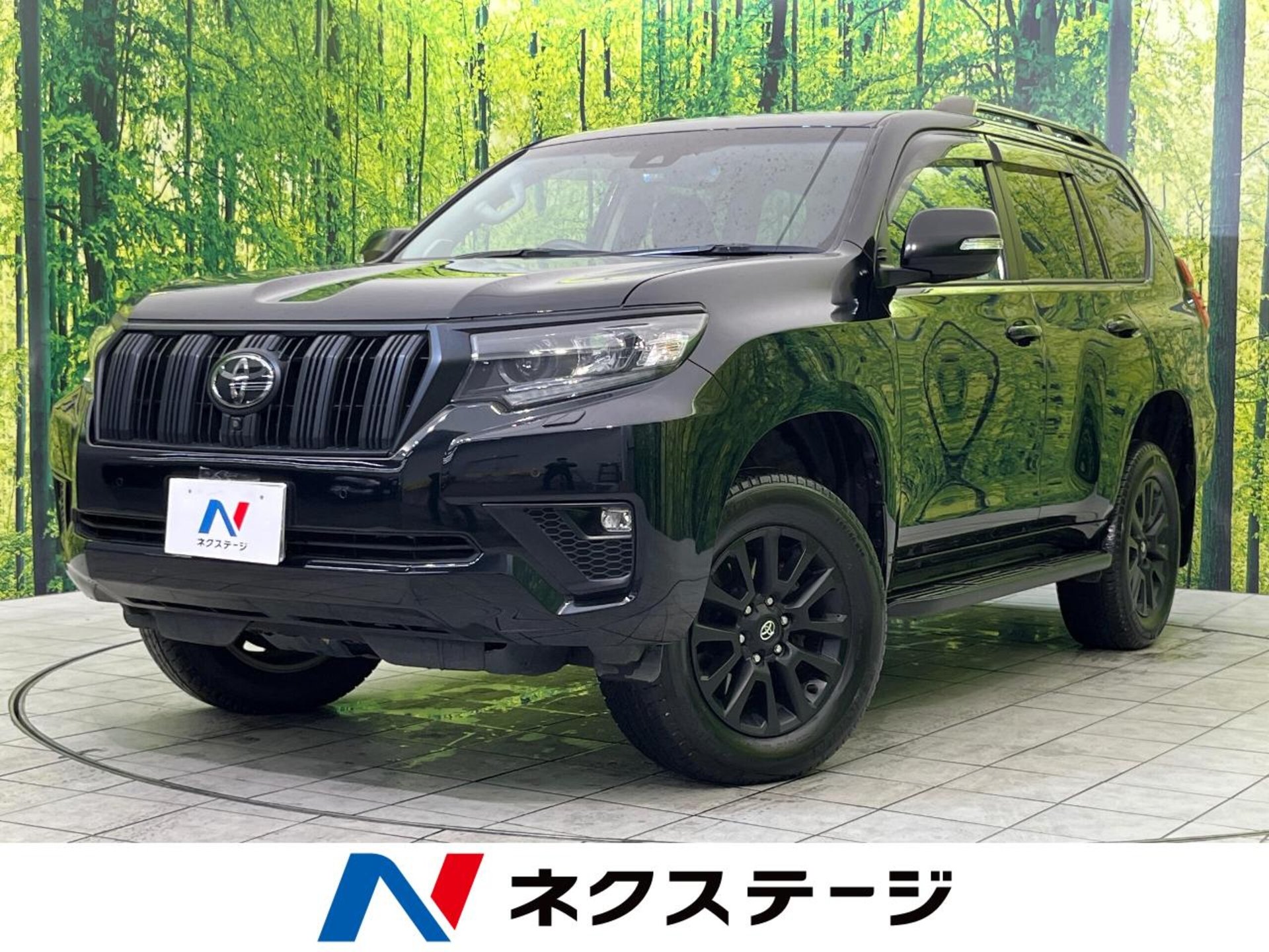 TOYOTA LAND CRUISER PRADO - View 1