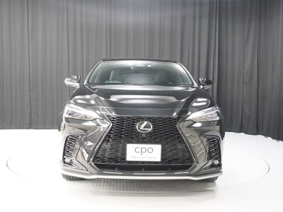 LEXUS NX - 8