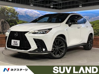 LEXUS NX - 1