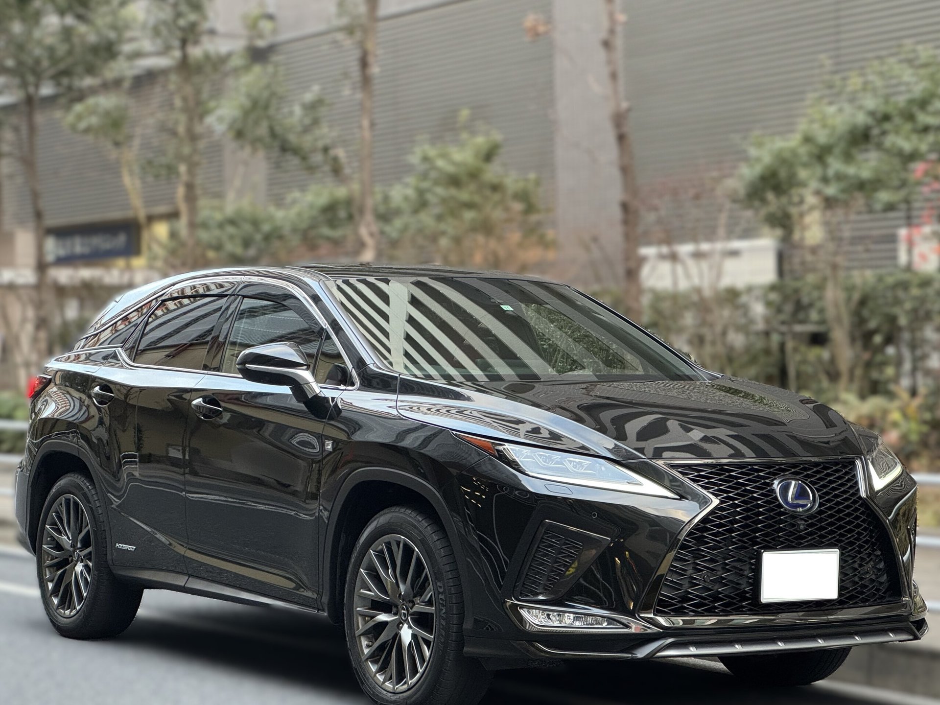 LEXUS RX - View 1
