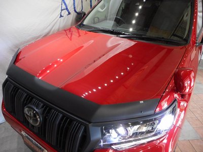 TOYOTA LAND CRUISER PRADO - 2