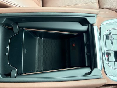 2024 BMW X5 缩略图 39