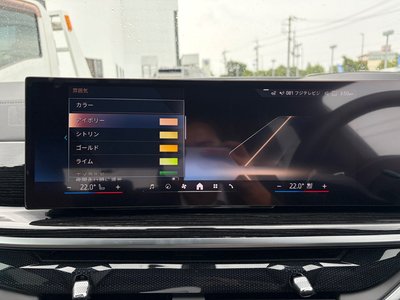 2024 BMW X5 缩略图 32