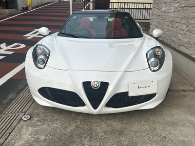 2018 ALFA Romeo 4C SPIDER 照片 10
