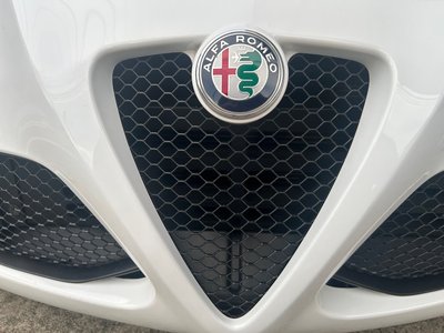 2018 ALFA Romeo 4C SPIDER 照片 13