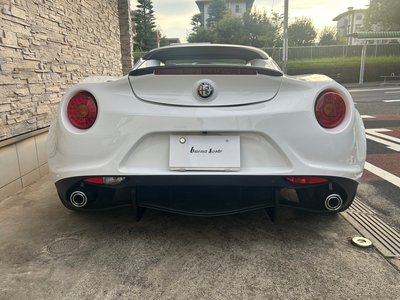 2018 ALFA Romeo 4C SPIDER 照片 8