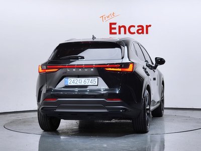 2025 Lexus NX 照片 4