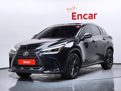 2025 Lexus NX 照片 1