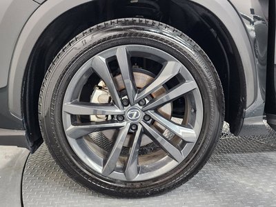 2025 Lexus NX 照片 6