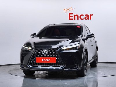 2025 Lexus NX 照片 2