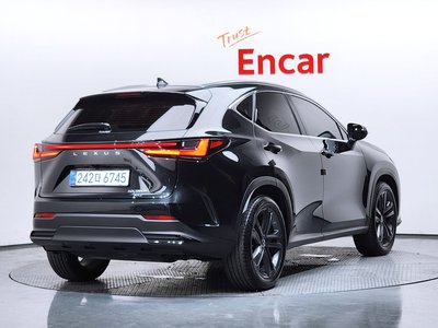2025 Lexus NX 照片 3