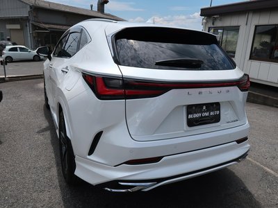 2023 Lexus NX 缩略图 21