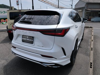 2023 Lexus NX 缩略图 20
