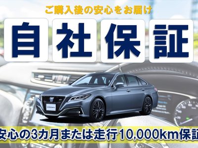 2023 Lexus NX 缩略图 30