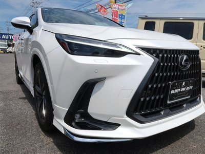 صورة 7 لـ 2023 Lexus NX