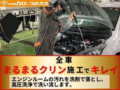TOYOTA LAND CRUISER PRADO - 4