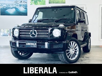 MERCEDES-BENZ G-CLASS - 1