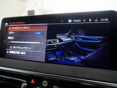 2024 BMW X4 缩略图 30