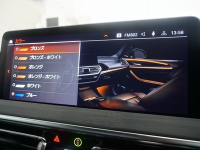 2024 BMW X4 缩略图 31