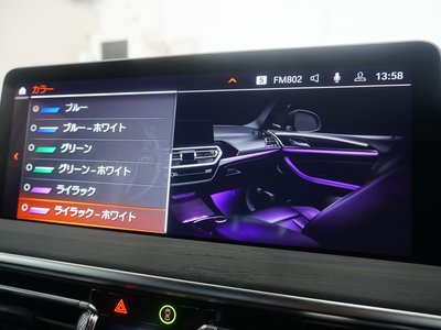 2024 BMW X4 缩略图 32