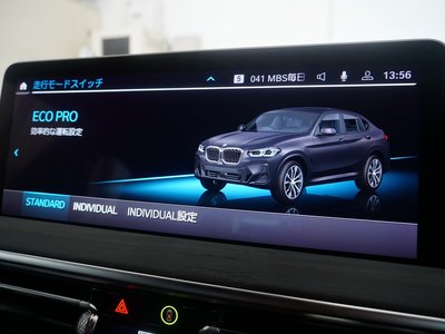 2024 BMW X4 缩略图 28