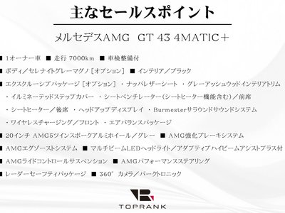 2023 Mercedes-BENZ GT AMG 照片 5