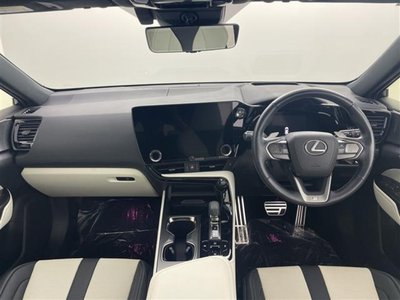 2024 Lexus NX 照片 2