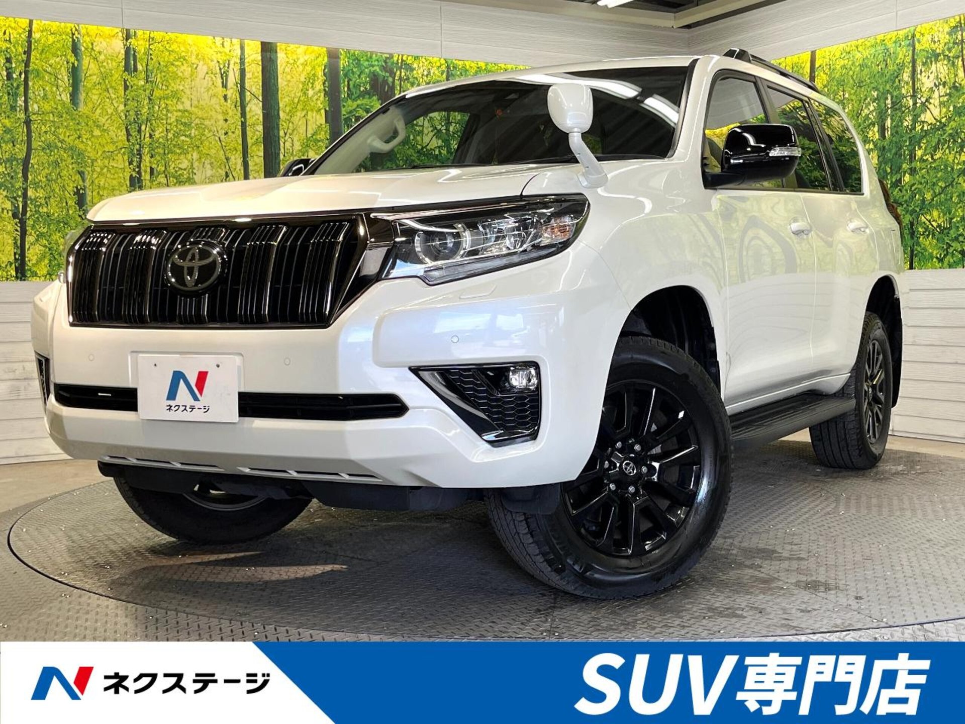 TOYOTA LAND CRUISER PRADO - View 1