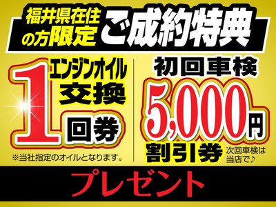 TOYOTA LAND CRUISER - 4
