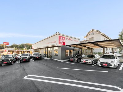 TOYOTA LAND CRUISER 250 - 8