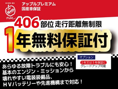TOYOTA LAND CRUISER 250 - 2